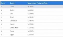 吃瓜网站网址免费看吃瓜,免费畅享吃瓜盛宴，轻松解锁热门资讯！